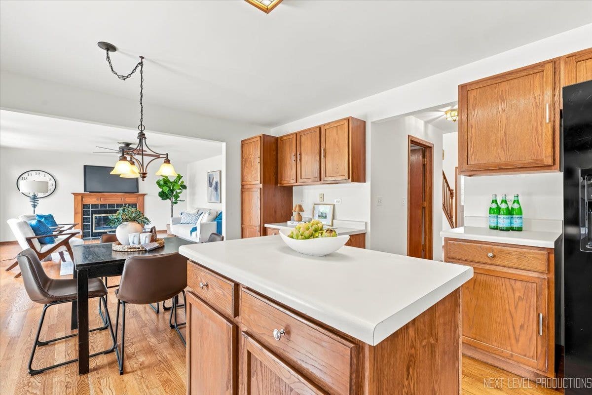 1360 Farmstead Lane, Bolingbrook, IL 60490 1360 Farmstead Lane, Bolingbrook, IL 60490
