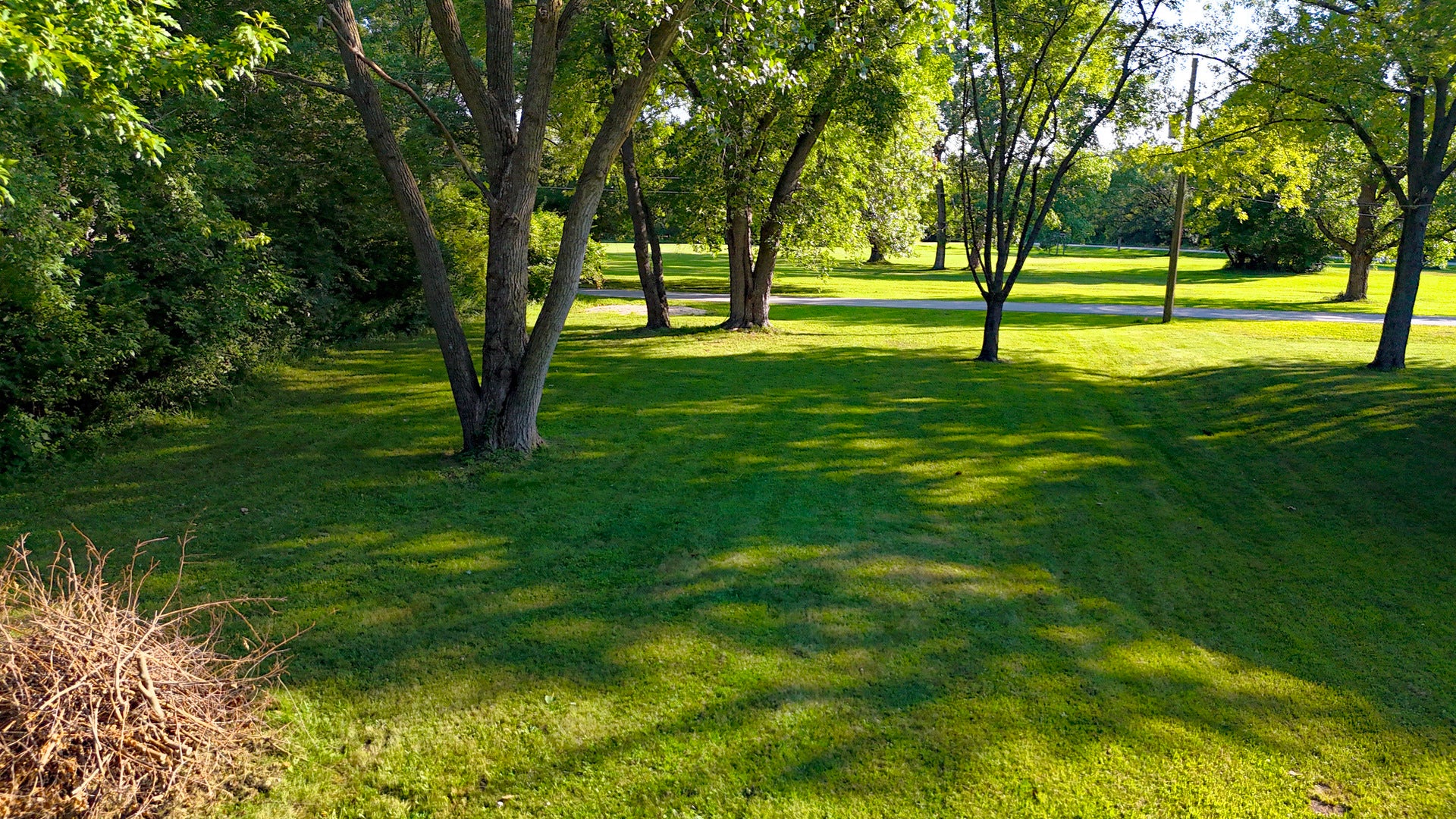 8955 Teal Lane, Wilmington, IL 60481 8955 Teal Lane, Wilmington, IL 60481