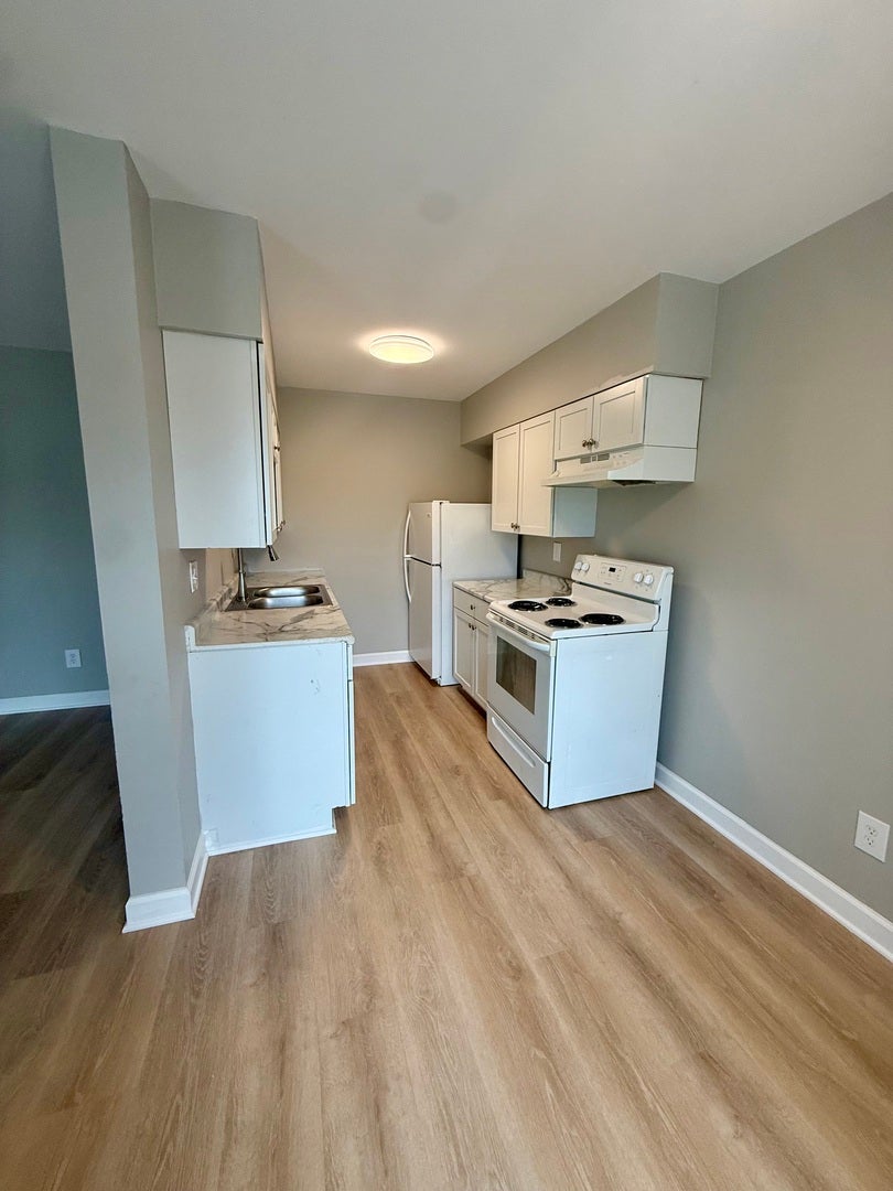 405 E Reed Street, #4, Braidwood, IL 60408