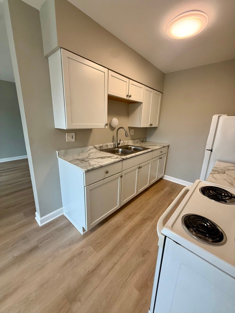 405 E Reed Street, #4, Braidwood, IL 60408