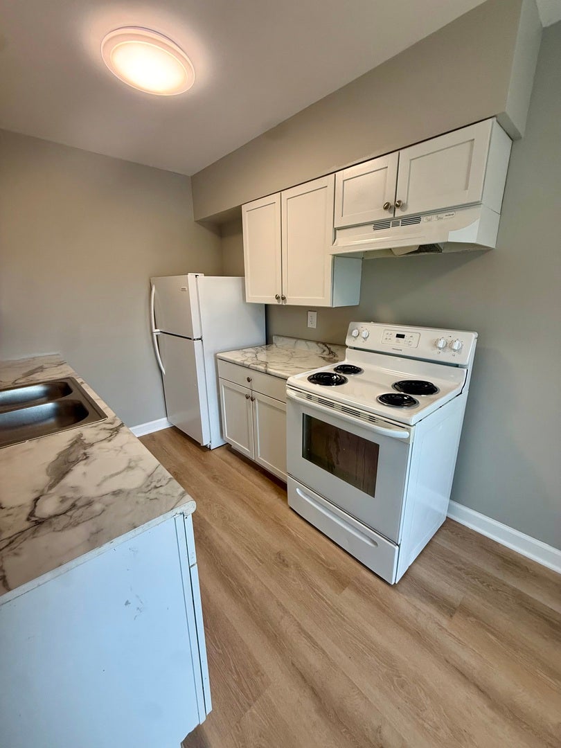 405 E Reed Street, #4, Braidwood, IL 60408