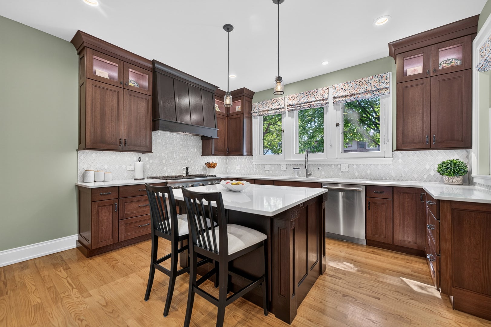 729 W Downer Place, Aurora, IL 60506 729 W Downer Place, Aurora, IL 60506