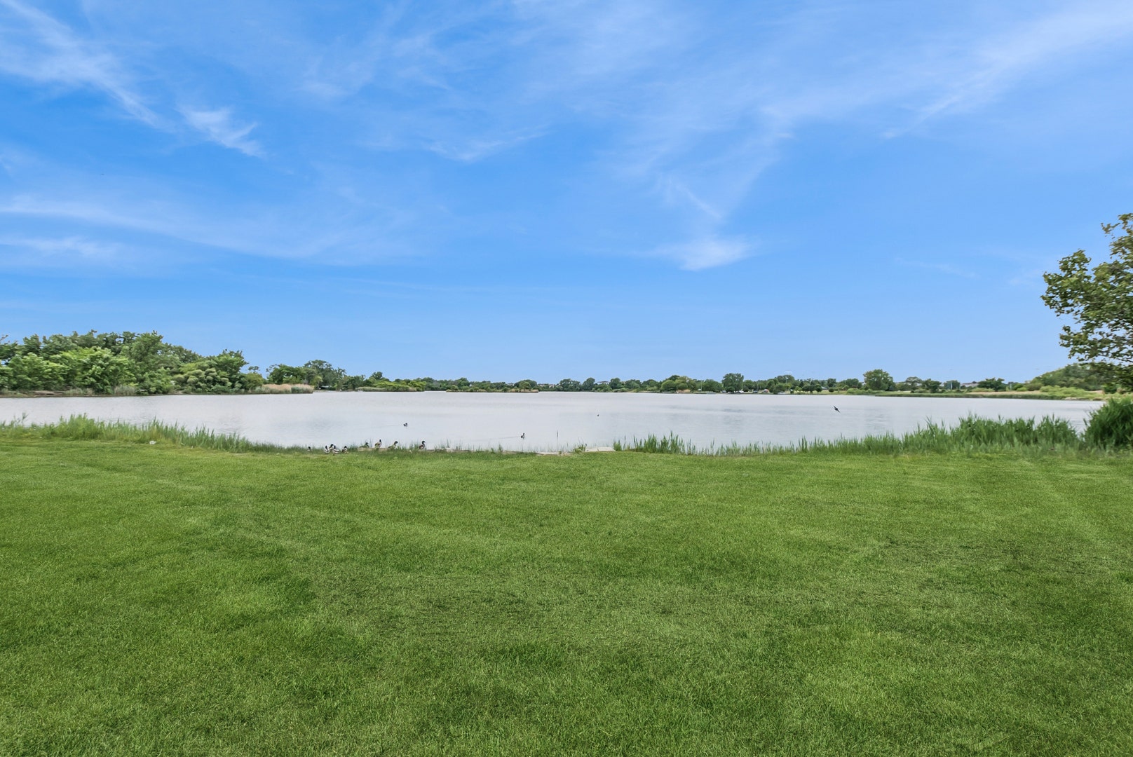 15722 CENTENNIAL Drive, Orland Park, IL 60462 15722 CENTENNIAL Drive, Orland Park, IL 60462