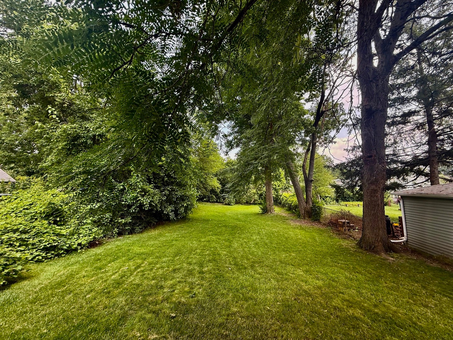 Downers Grove, IL 60515 Downers Grove, IL 60515