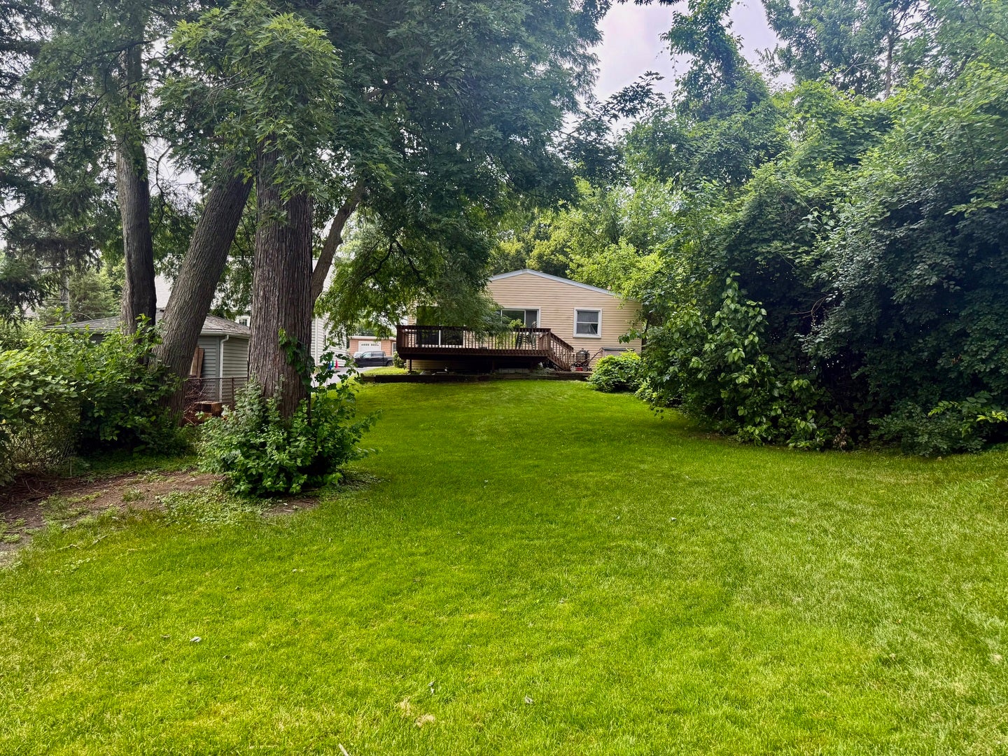 Downers Grove, IL 60515 Downers Grove, IL 60515