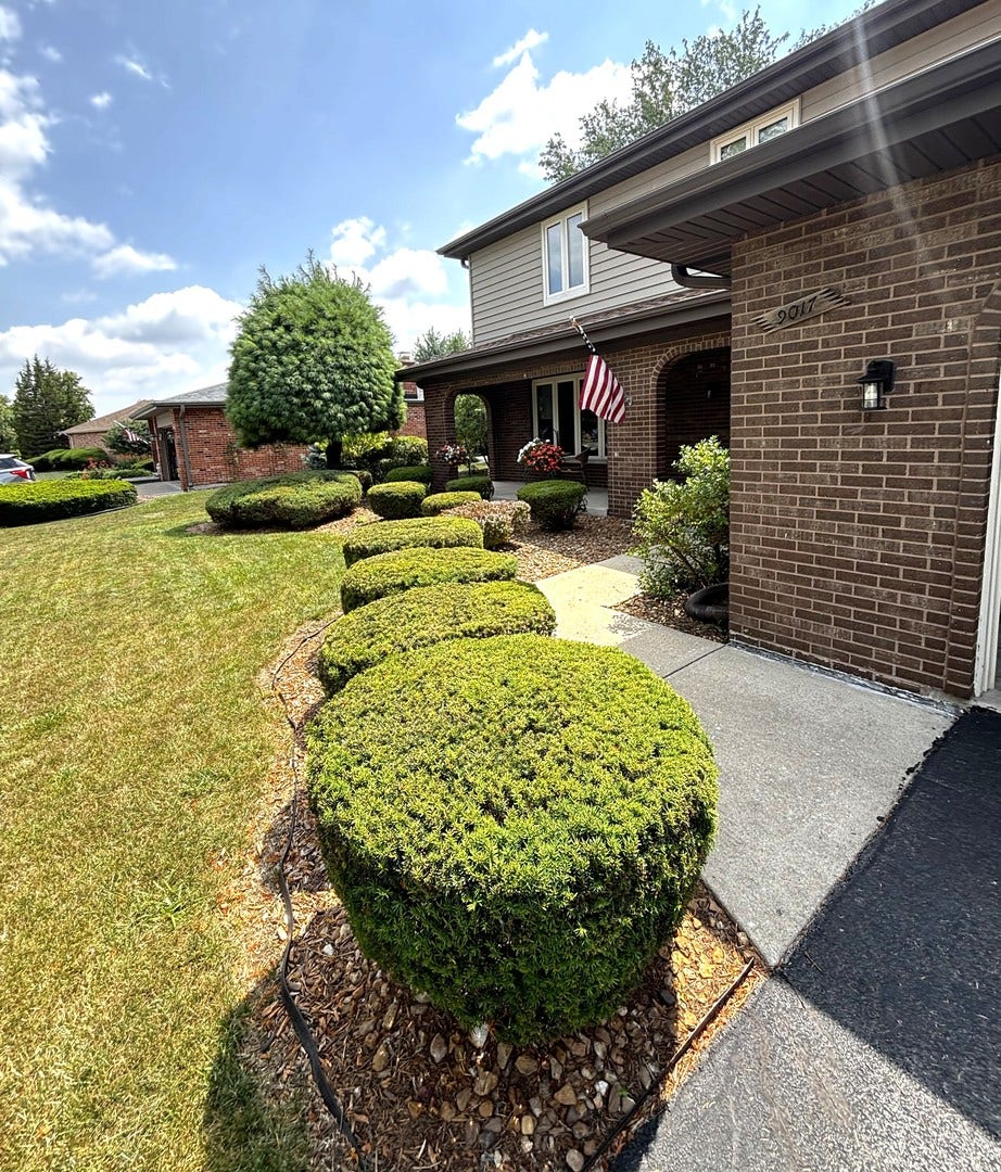 9017 Timber Trails Road, Orland Park, IL 60462