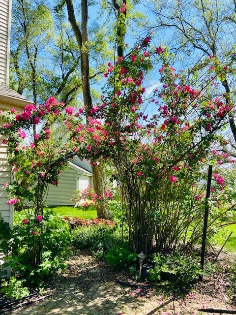 997 S Hampton Court, Aurora, IL 60506 997 S Hampton Court, Aurora, IL 60506