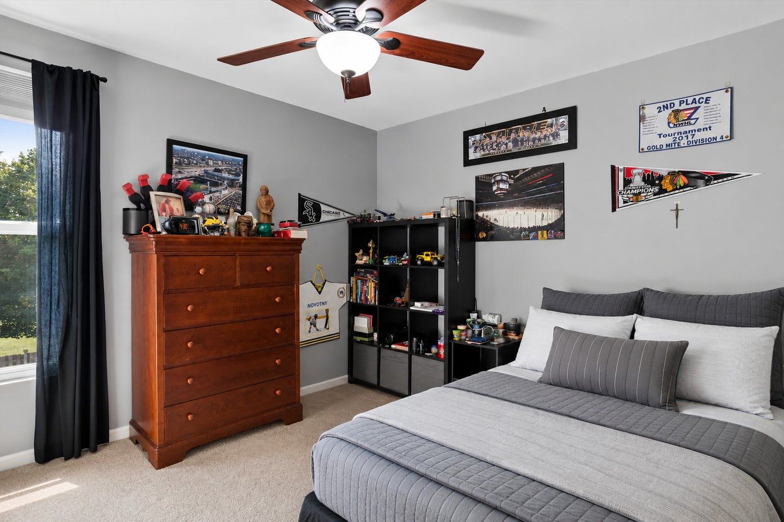 223 Clubhouse Street, Bolingbrook, IL 60490 223 Clubhouse Street, Bolingbrook, IL 60490