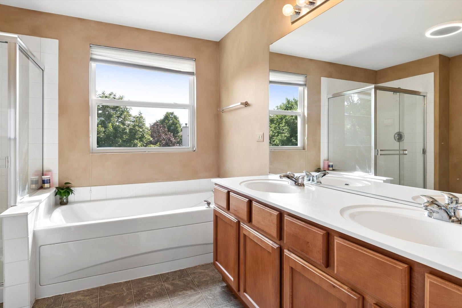 223 Clubhouse Street, Bolingbrook, IL 60490 Primary Bathroom