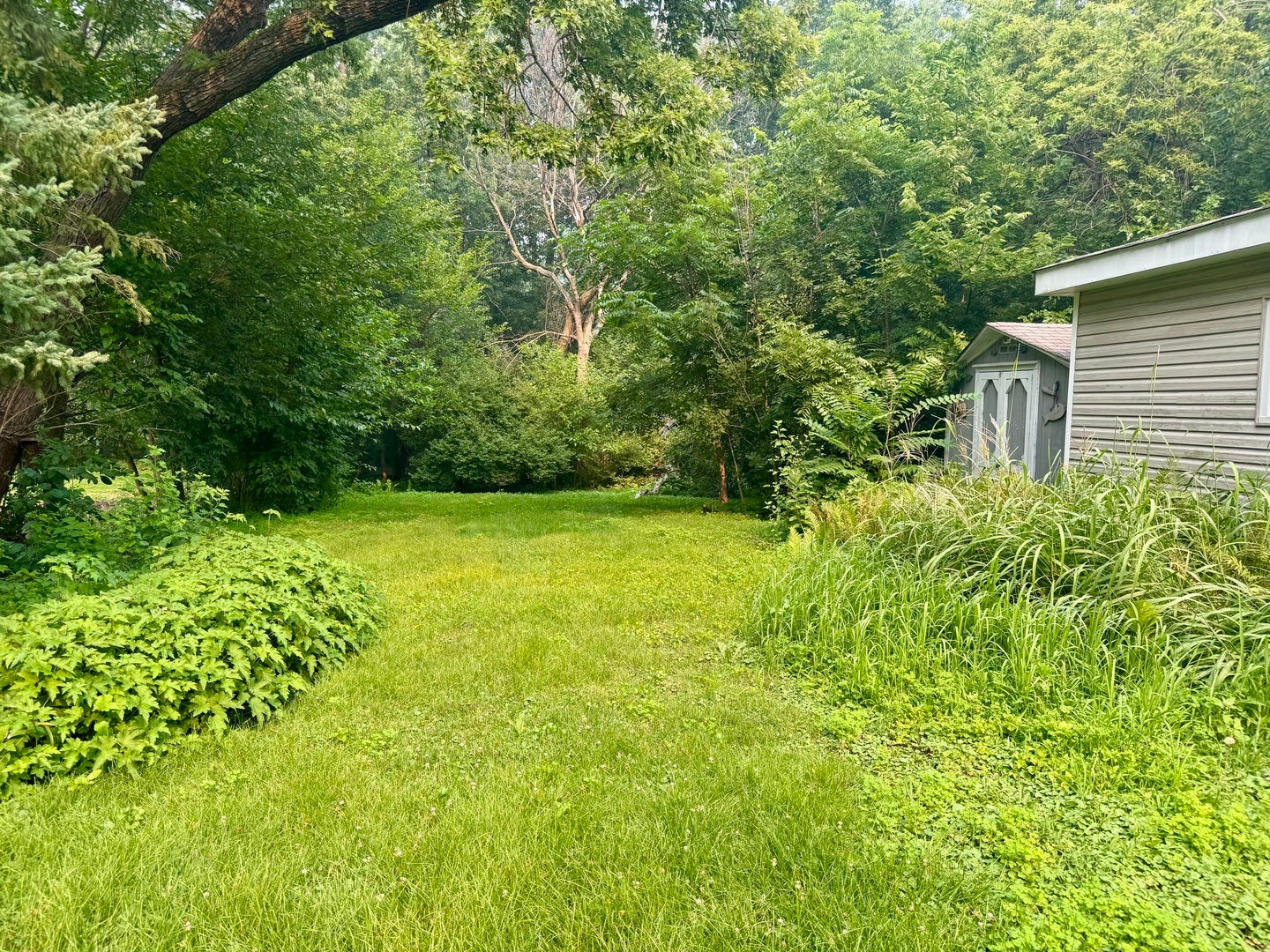 5341 Grand Avenue, Downers Grove, IL 60515