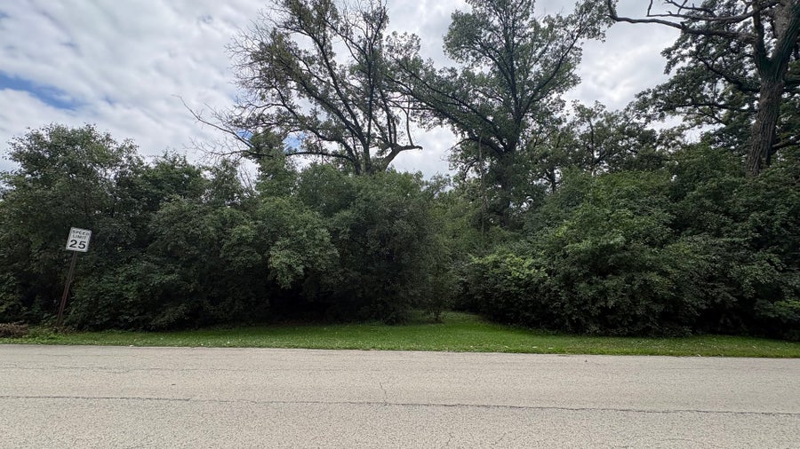 Property photo for 766 Brookwood Drive, Olympia Fields, IL