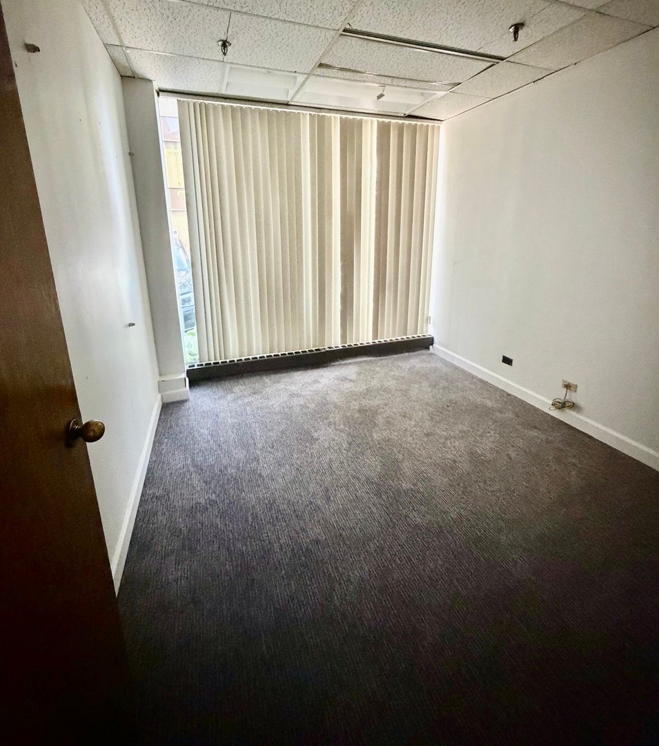64 ORLAND SQUARE Drive, #110, Orland Park, IL 60462 Private Office