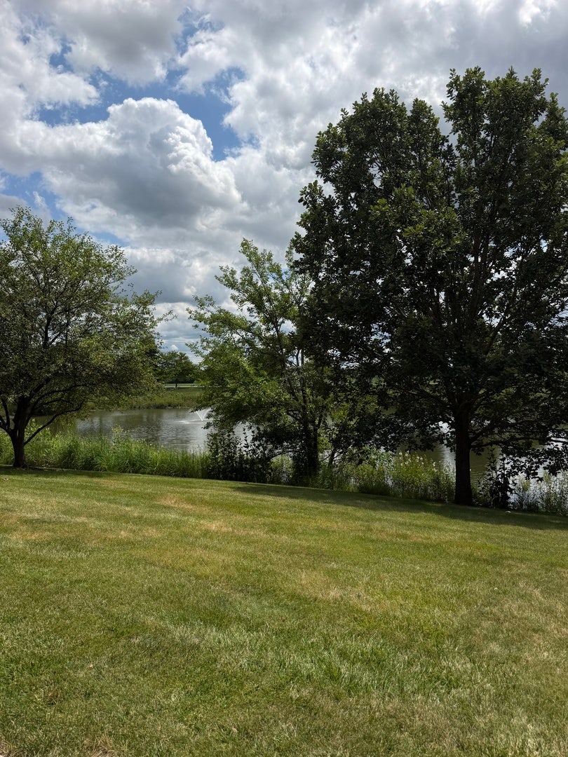 1110 Symphony Drive, Aurora, IL 60504 1110 Symphony Drive, Aurora, IL 60504