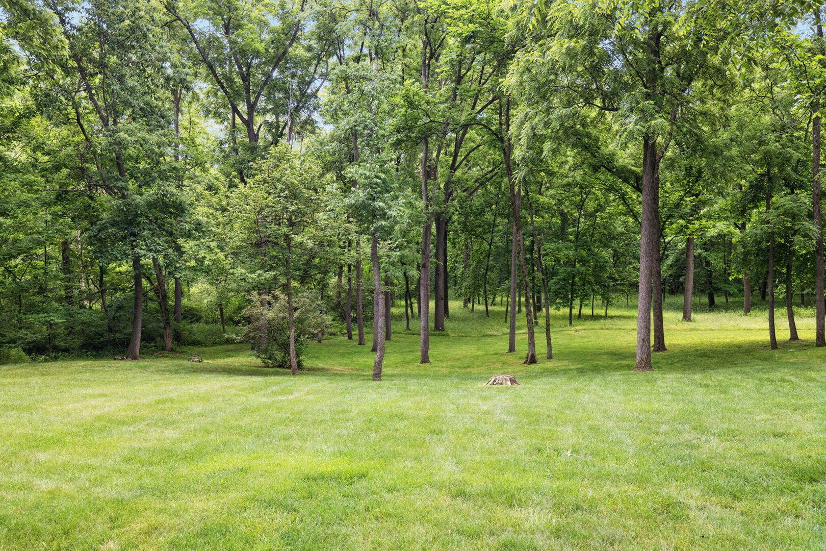 16261 W Ridgewood Drive, Homer Glen, IL 60491 16261 W Ridgewood Drive, Homer Glen, IL 60491