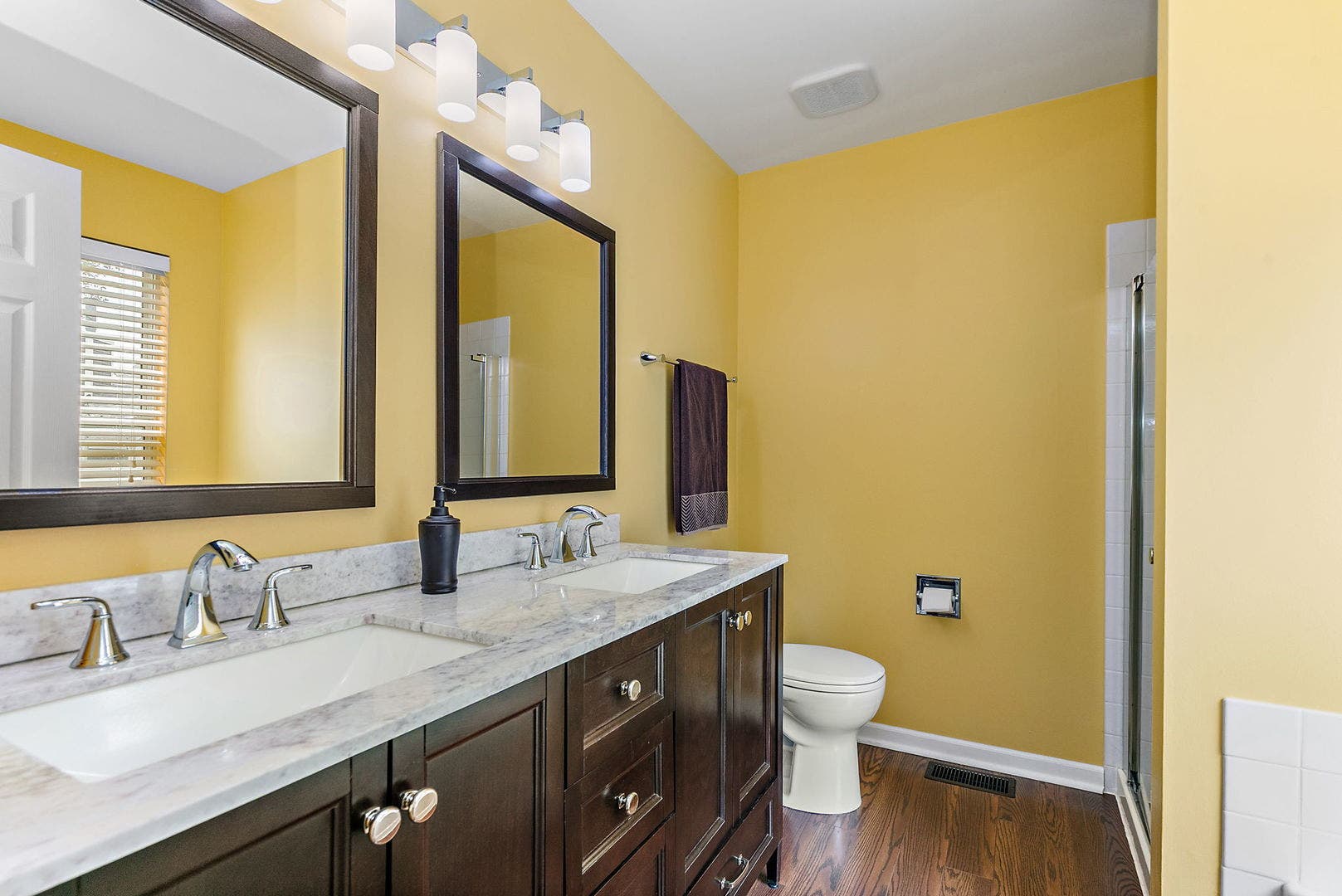 204 Dickens Trail, Elgin, IL 60120 204 Dickens Trail, Elgin, IL 60120