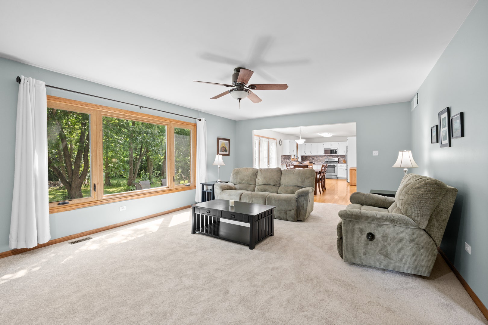 14955 Wingate Drive, Homer Glen, IL 60491
