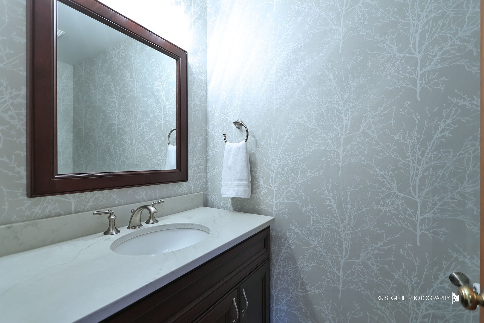 2727 Downing Court, Aurora, IL 60502 Main level half bathroom