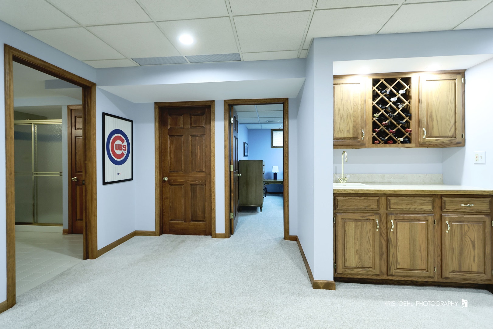 2727 Downing Court, Aurora, IL 60502 Wet Bar