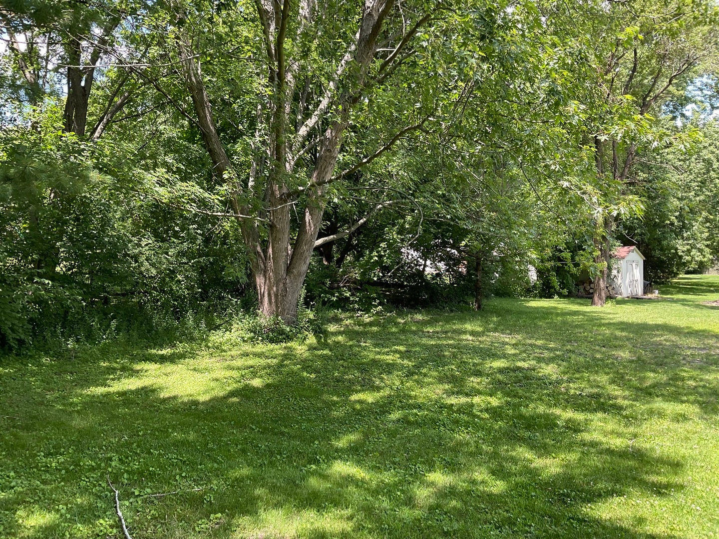 41W610 Silvana Drive, Elgin, IL 60124 41W610 Silvana Drive, Elgin, IL 60124