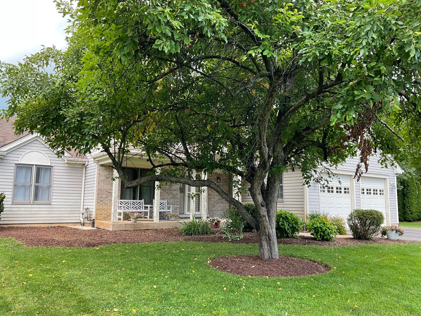 41W610 Silvana Drive, Elgin, IL 60124 41W610 Silvana Drive, Elgin, IL 60124