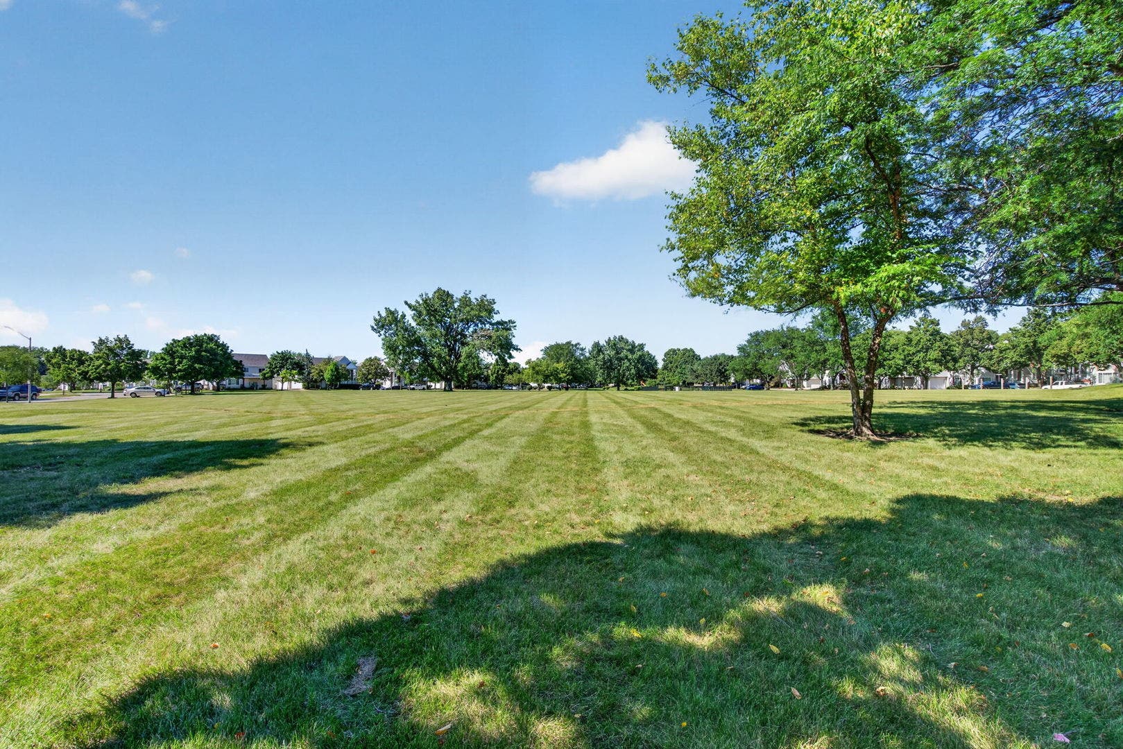 320 Fieldstone Court, #320, Bolingbrook, IL 60440 320 Fieldstone Court, #320, Bolingbrook, IL 60440
