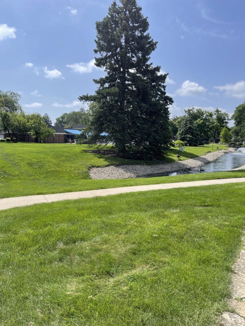 4039 Saratoga Avenue, #C101, Downers Grove, IL 60515 4039 Saratoga Avenue, #C101, Downers Grove, IL 60515