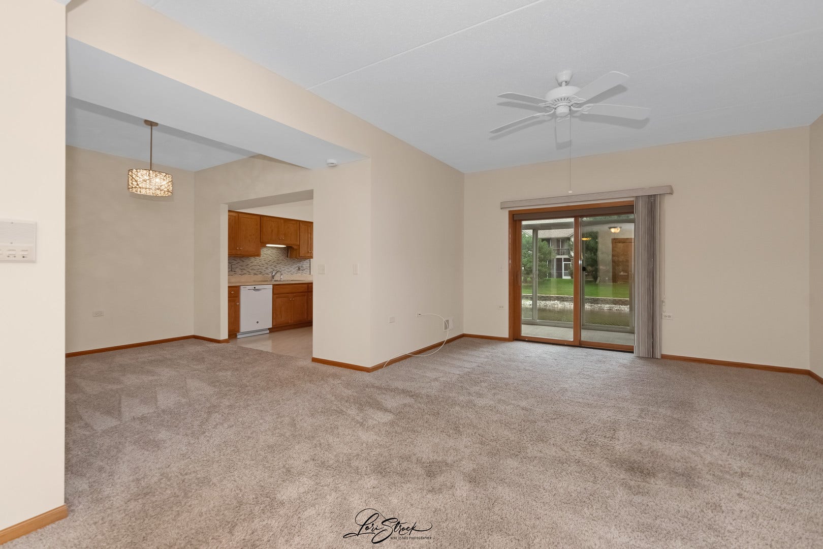 6242 Kallsen Drive, #2, Tinley Park, IL 60477