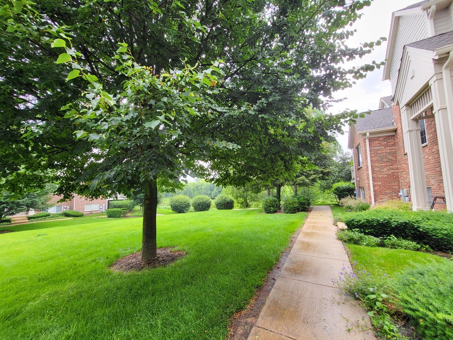 3348 Cameron Drive, Elgin, IL 60124 3348 Cameron Drive, Elgin, IL 60124