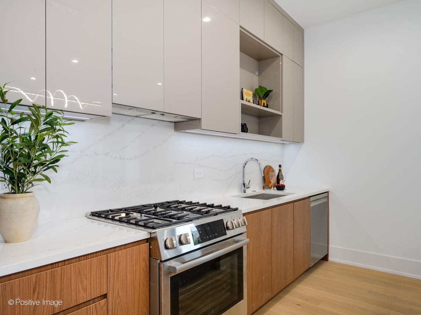 515 W Elm Street, #502, Chicago, IL 60610
