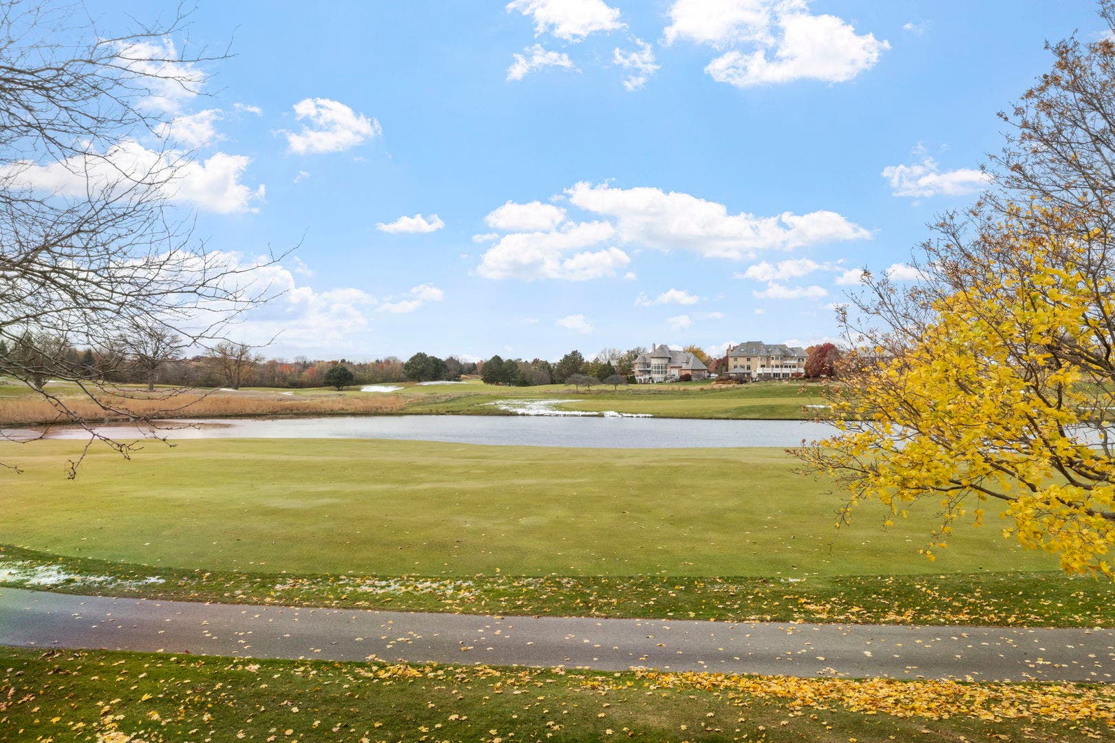 1319 Cranbrook Circle, Aurora, IL 60502 Golf Course View