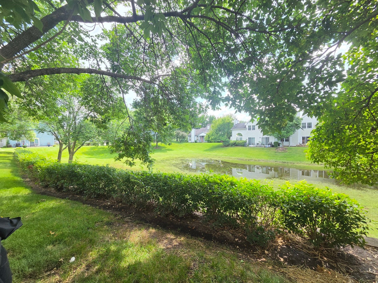 1839 Prentiss Drive, Downers Grove, IL 60516 1839 Prentiss Drive, Downers Grove, IL 60516