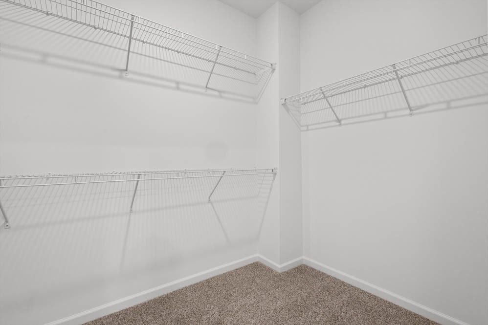 290 Snowdrop Lane, Elgin, IL 60124 290 Snowdrop Lane, Elgin, IL 60124