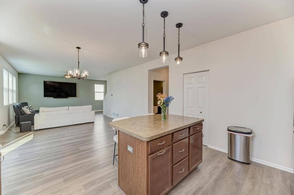1515 Elysium Drive, Minooka, IL 60447 1515 Elysium Drive, Minooka, IL 60447