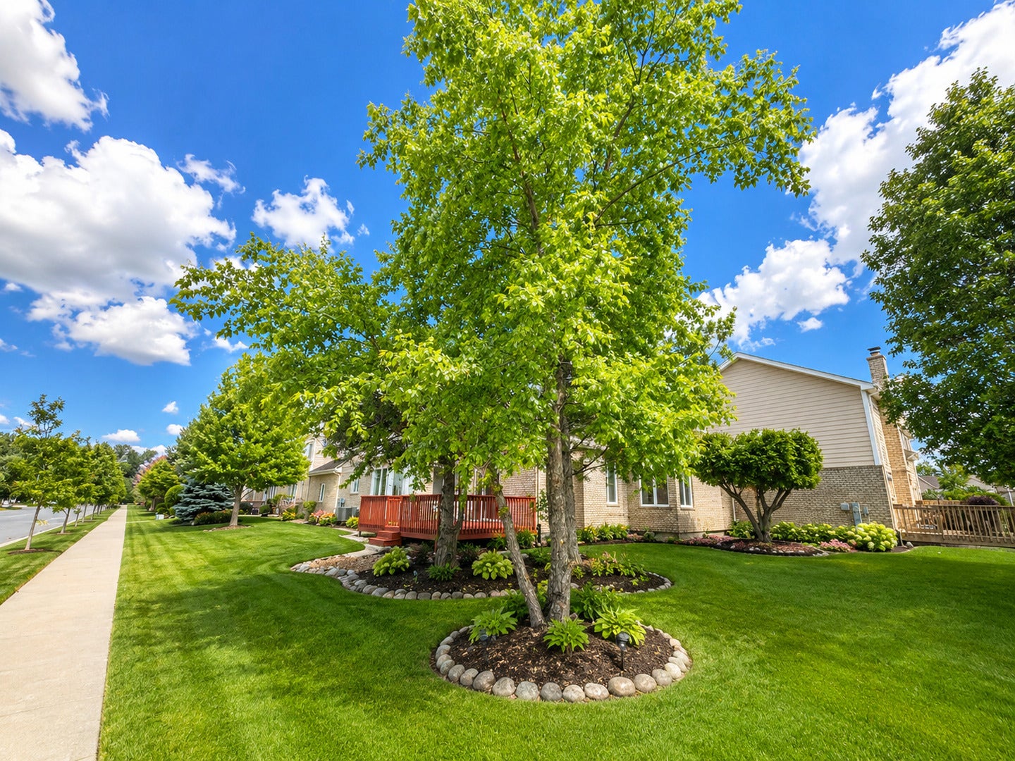 7746 Northfield Lane, Tinley Park, IL 60487 7746 Northfield Lane, Tinley Park, IL 60487