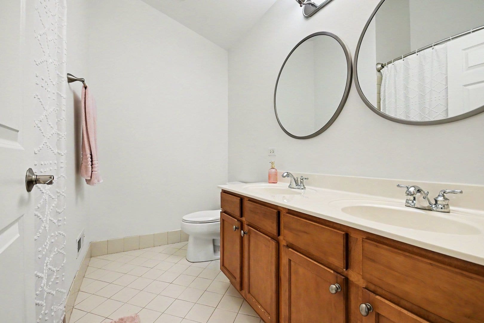 1102 Iron Horse Court, Elgin, IL 60124