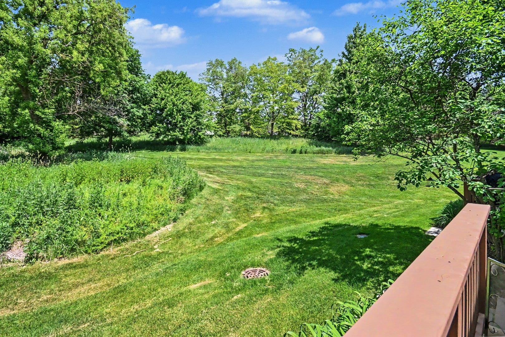 1102 Iron Horse Court, Elgin, IL 60124