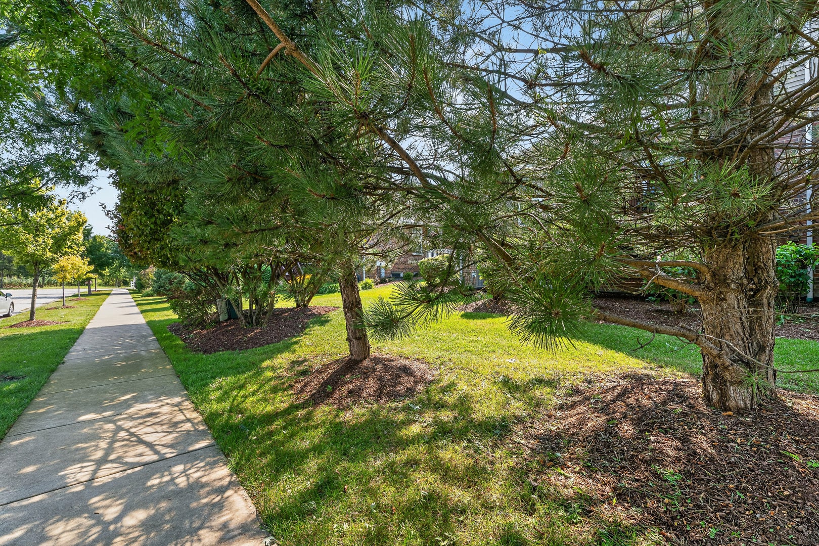 16525 TIMBER Trail, Orland Park, IL 60467 16525 TIMBER Trail, Orland Park, IL 60467