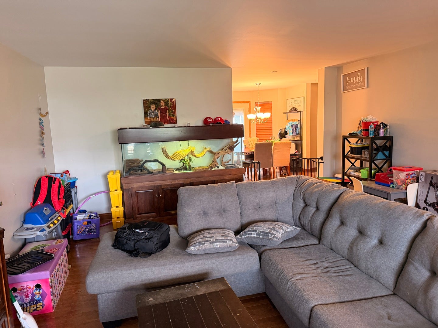 909 Timber Springs Drive, Joliet, IL 60432 909 Timber Springs Drive, Joliet, IL 60432