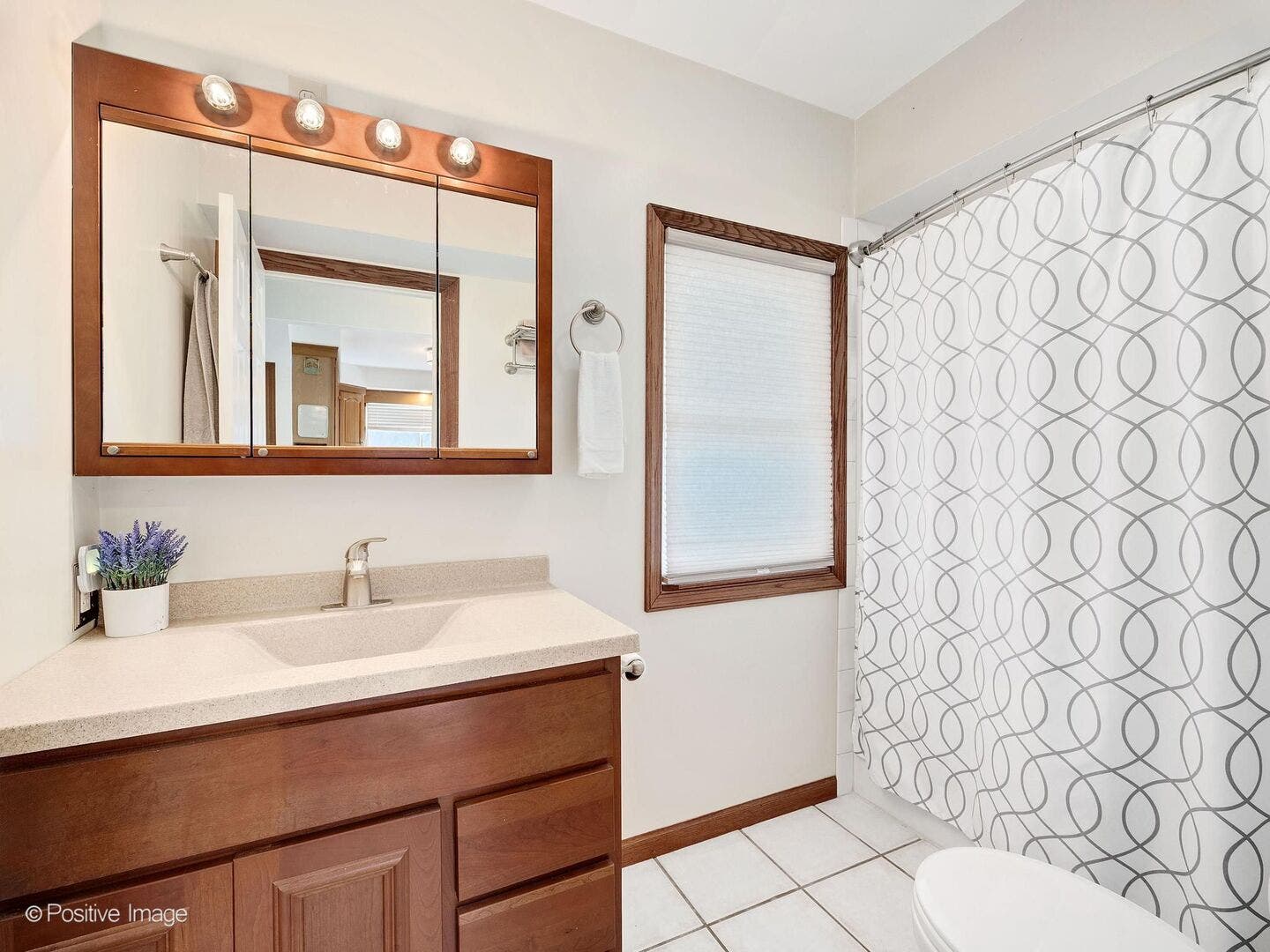 4029 Williams Street, Downers Grove, IL 60515 4029 Williams Street, Downers Grove, IL 60515