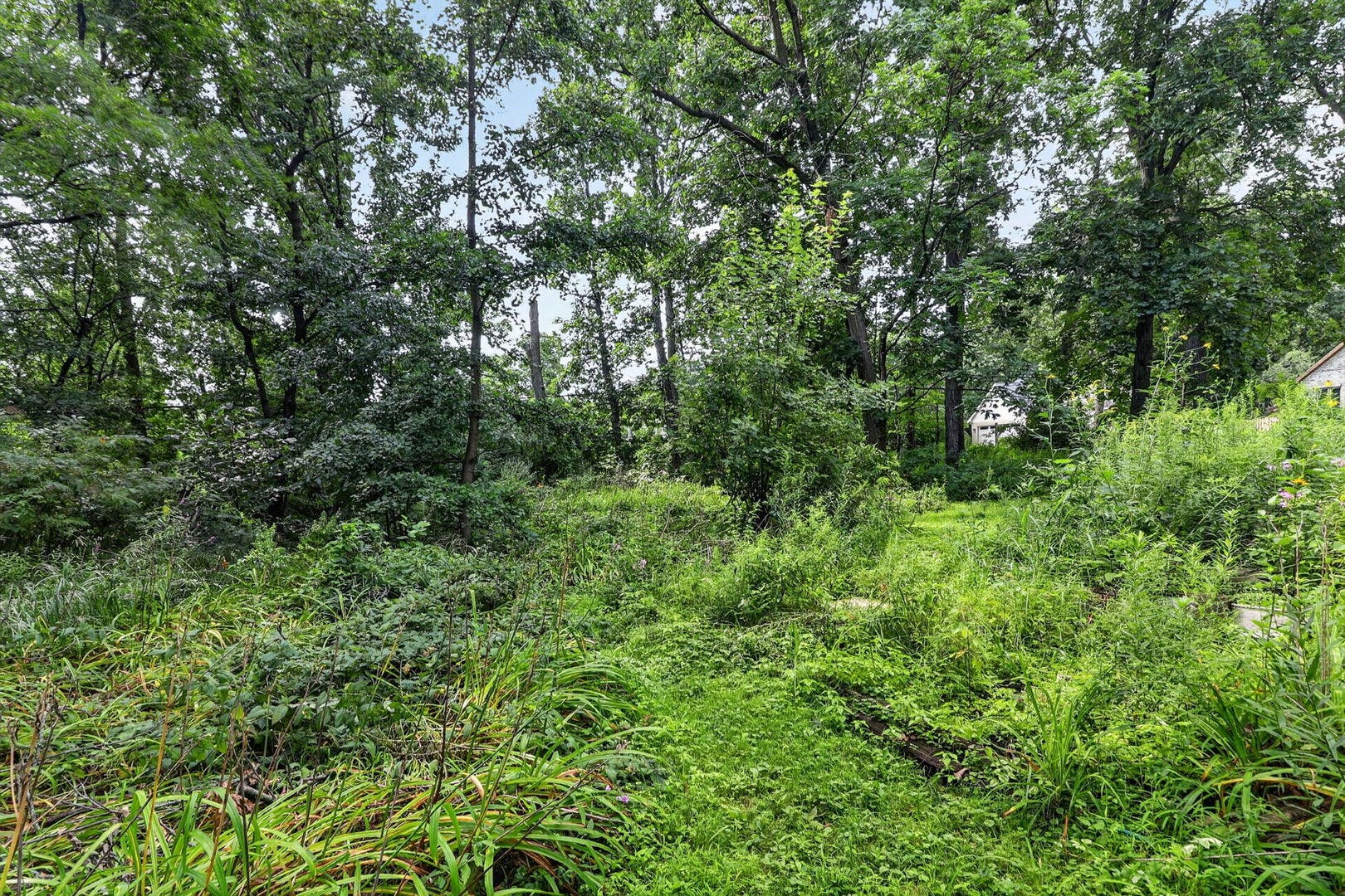 3700 Douglas Road, Downers Grove, IL 60515