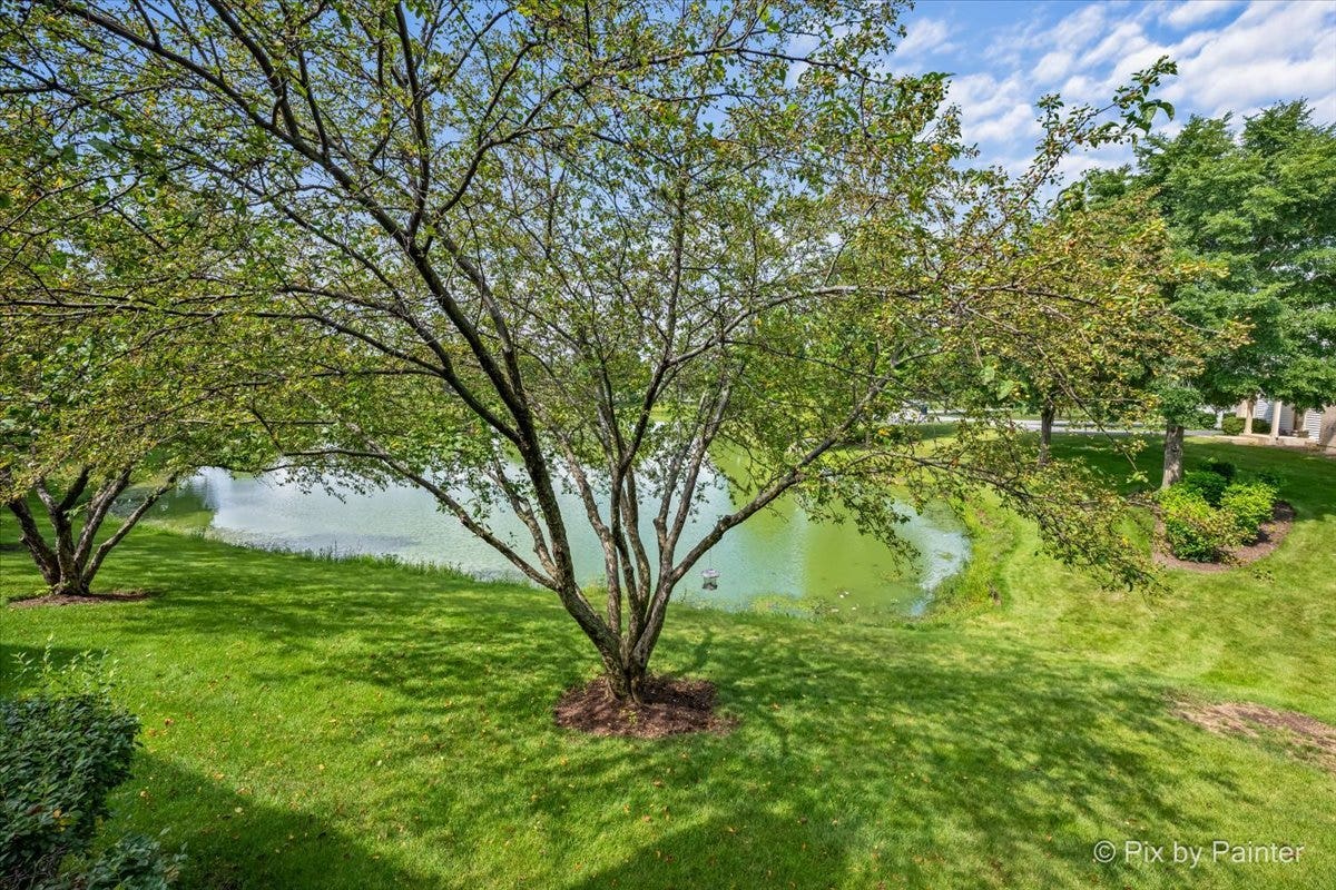 1248 Bradley Circle, Elgin, IL 60120 1248 Bradley Circle, Elgin, IL 60120