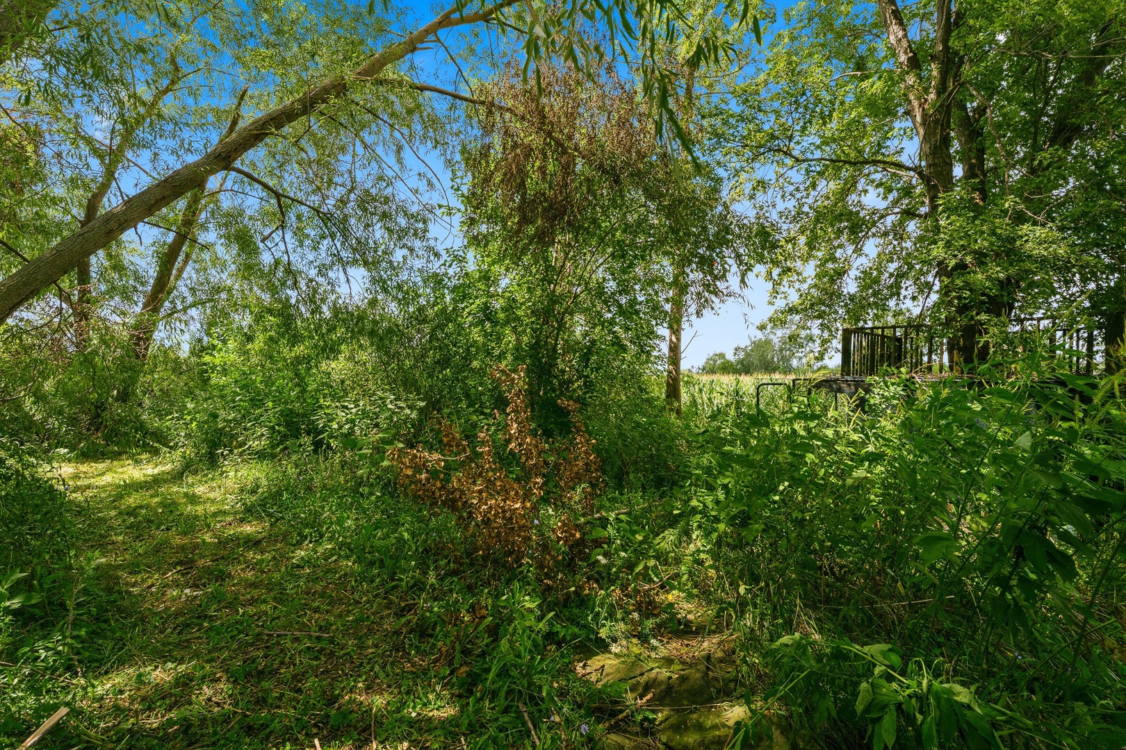 30640 S Ashland Avenue, Beecher, IL 60401 30640 S Ashland Avenue, Beecher, IL 60401