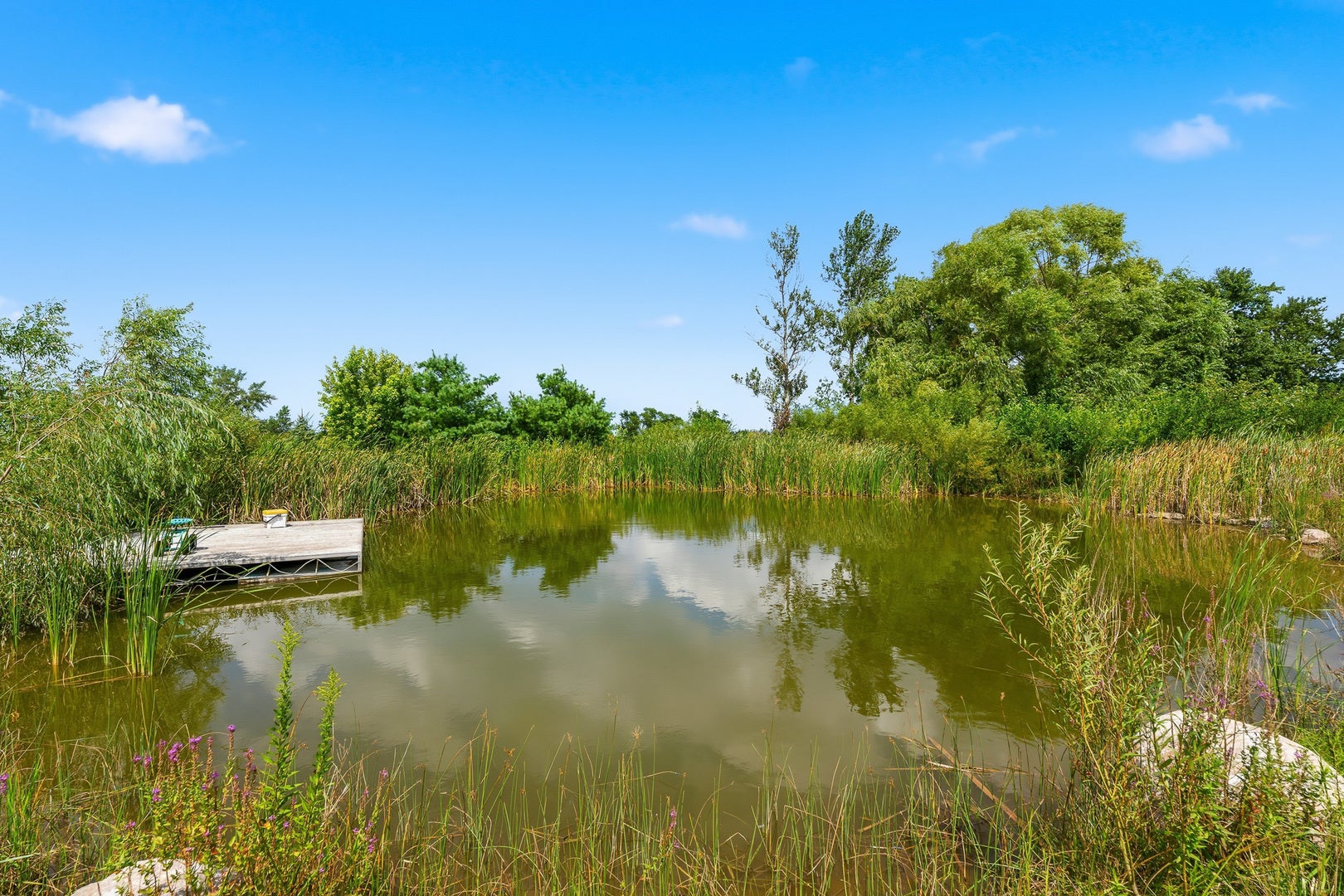 30640 S Ashland Avenue, Beecher, IL 60401 30640 S Ashland Avenue, Beecher, IL 60401