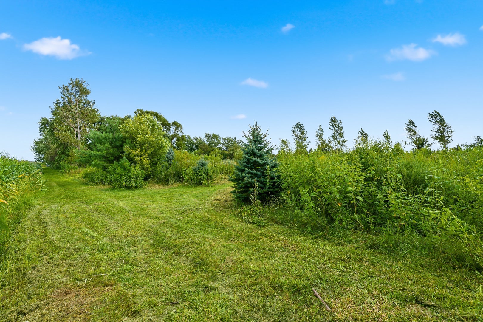 30640 S Ashland Avenue, Beecher, IL 60401 30640 S Ashland Avenue, Beecher, IL 60401