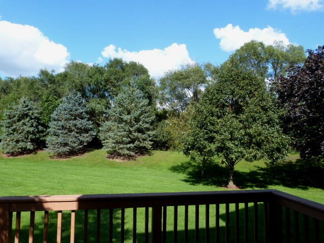 4169 Caribou Court, Joliet, IL 60431