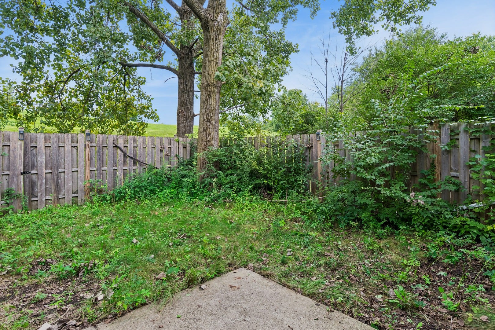 620 Olive Place, Bolingbrook, IL 60440 620 Olive Place, Bolingbrook, IL 60440