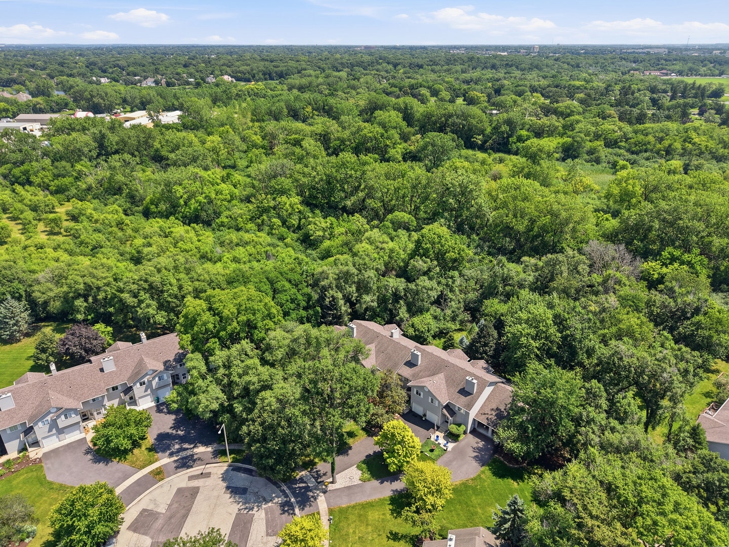 4156 Caribou Court, #0, Joliet, IL 60431 4156 Caribou Court, #0, Joliet, IL 60431