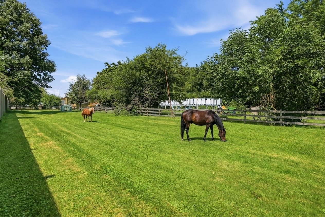 19709 W Schweitzer Road, Joliet, IL 60436 19709 W Schweitzer Road, Joliet, IL 60436