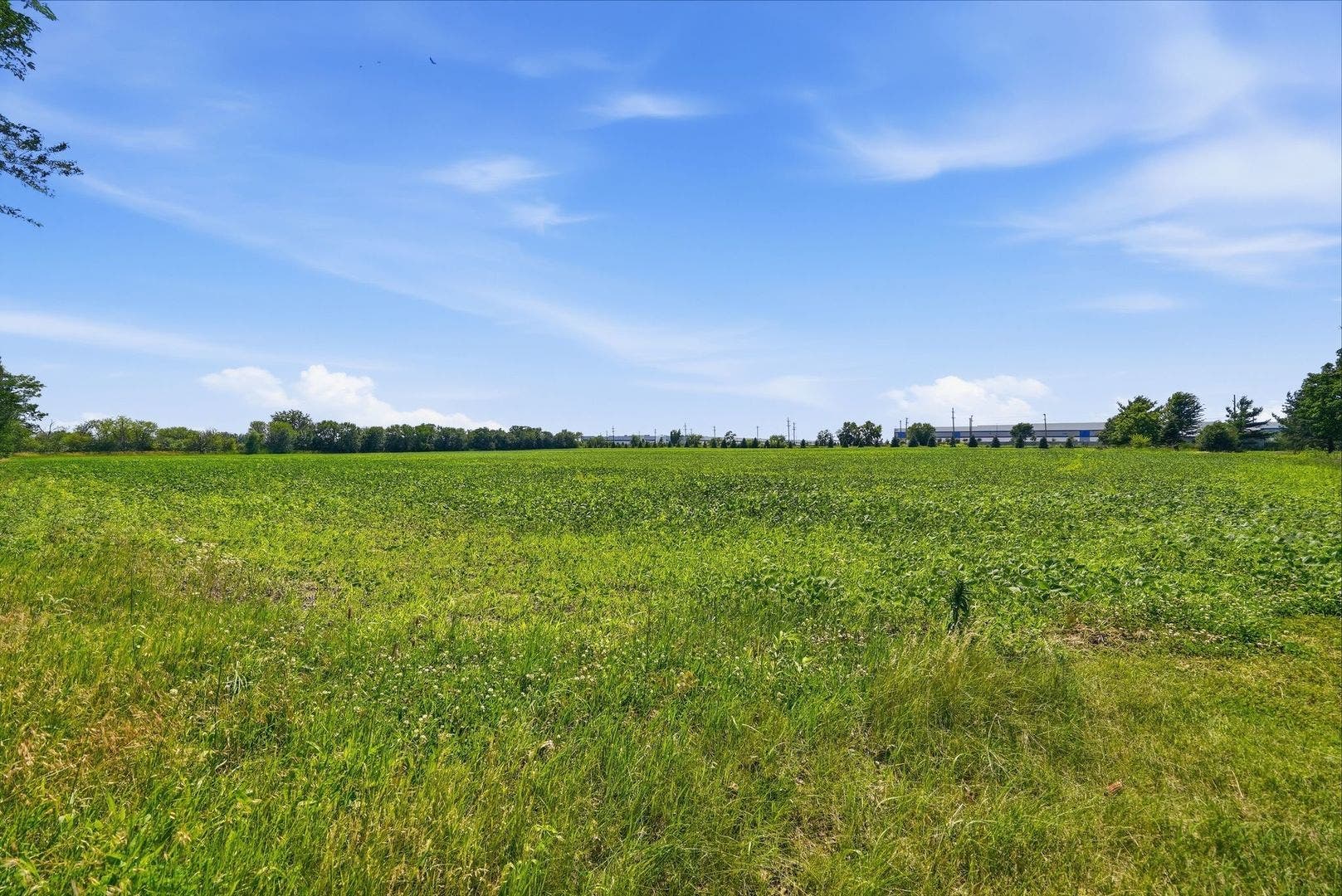 19709 W Schweitzer Road, Joliet, IL 60436 19709 W Schweitzer Road, Joliet, IL 60436