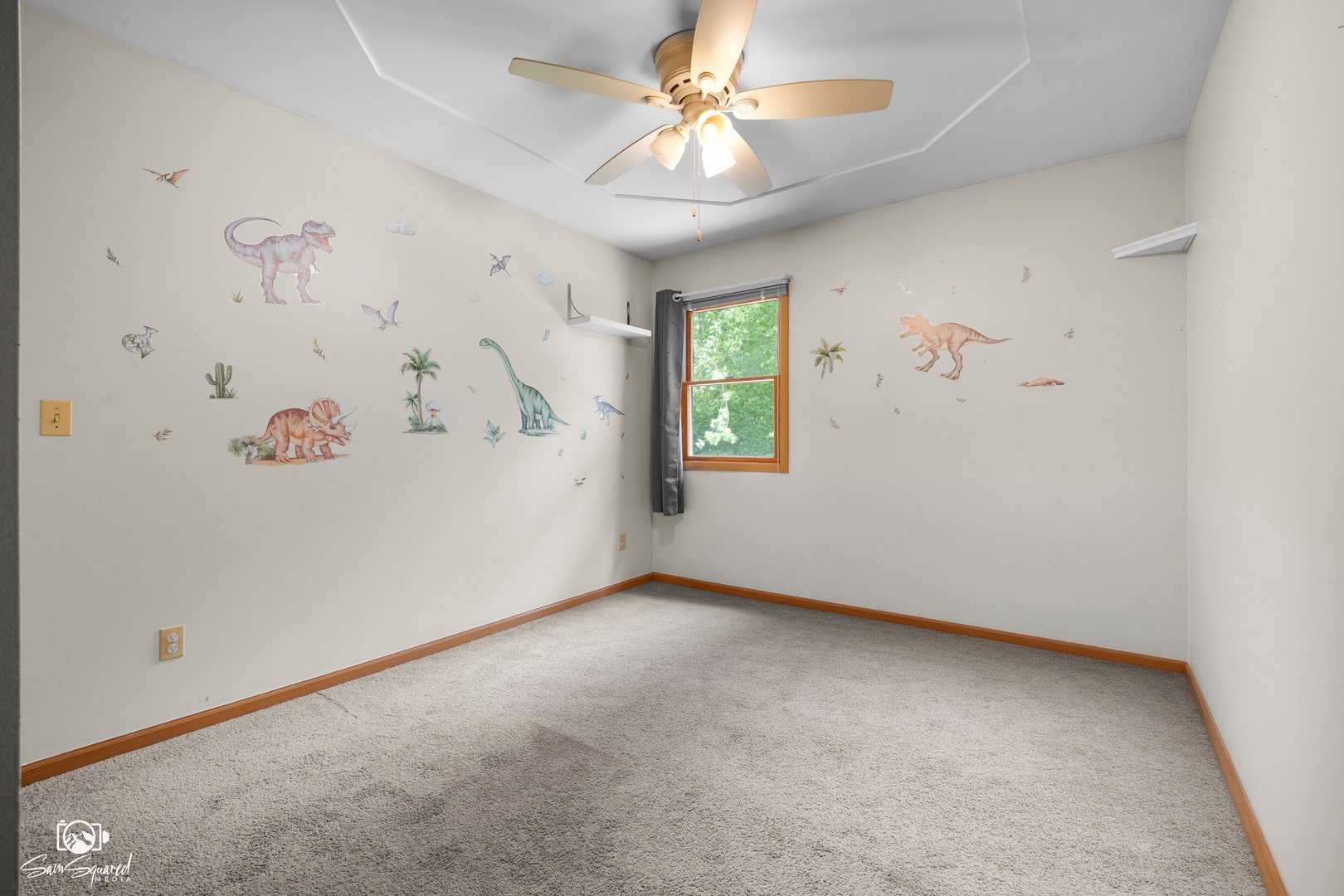 246 Teal Lane, Braidwood, IL 60408 246 Teal Lane, Braidwood, IL 60408